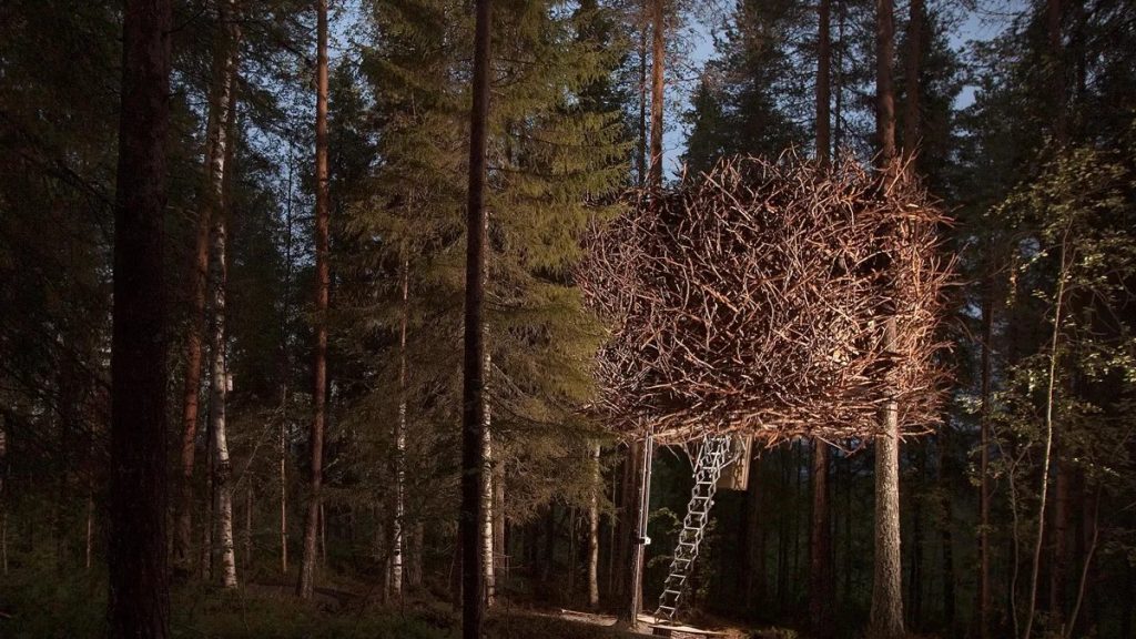 Birds nest room - The Tree house hotel Sweden for a Valentine's day with northern lights