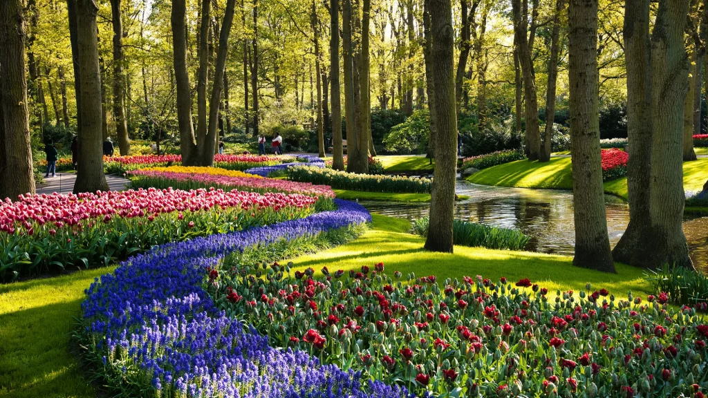 Keugenhof Gardens - Lisse near Amsterdam a stop on this European road trip