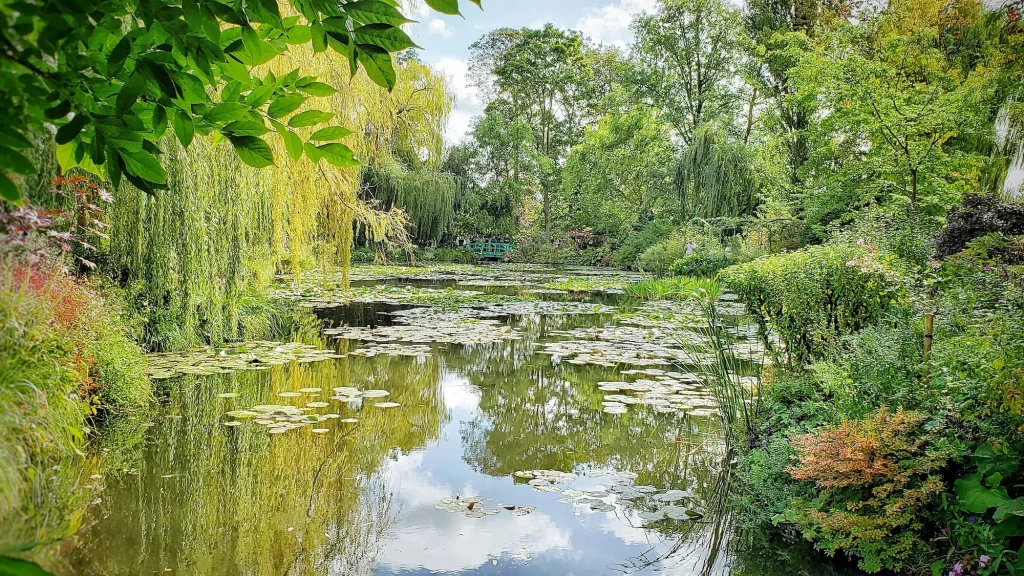 Weeping willows reflect into a lake. Monet's Gardens in Giverny - France part of this Amsterdam to Paris Road trip