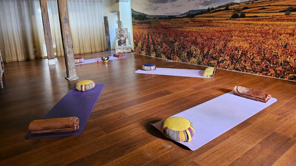 The yoga studio part of the Ayurveda spa at the 5* hotel Le Cep in Beaune, Burgundy