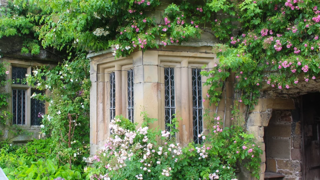 The roses along the wall at Haddon Hall in Derbyshire to answer the question is Derbyshire worth visiting