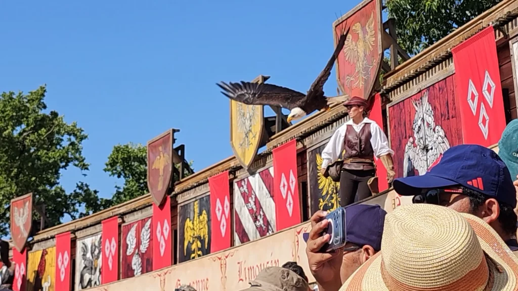 The Bird Show - Puy du Fou Le Bal des Oiseaux Fantomes